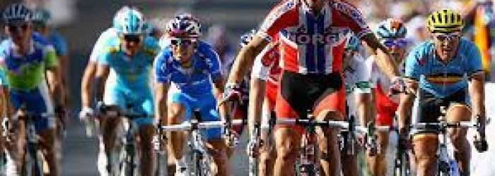 New! ladies edition Amstel gold